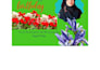 make canva templates and custom designs for you